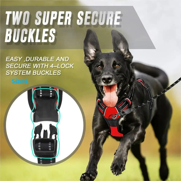 Comfortable Dog Walking Set