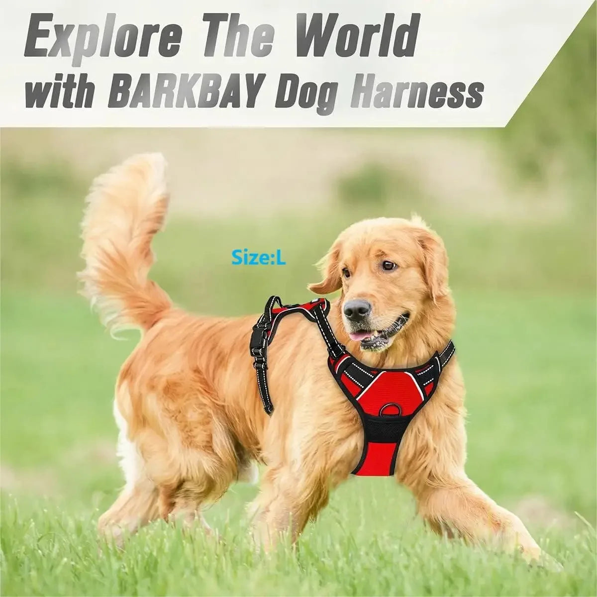 Comfortable Dog Walking Set