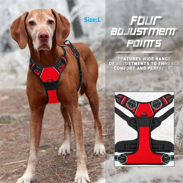Comfortable Dog Walking Set