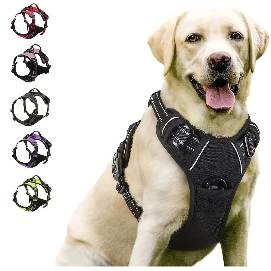 Comfortable Dog Walking Set
