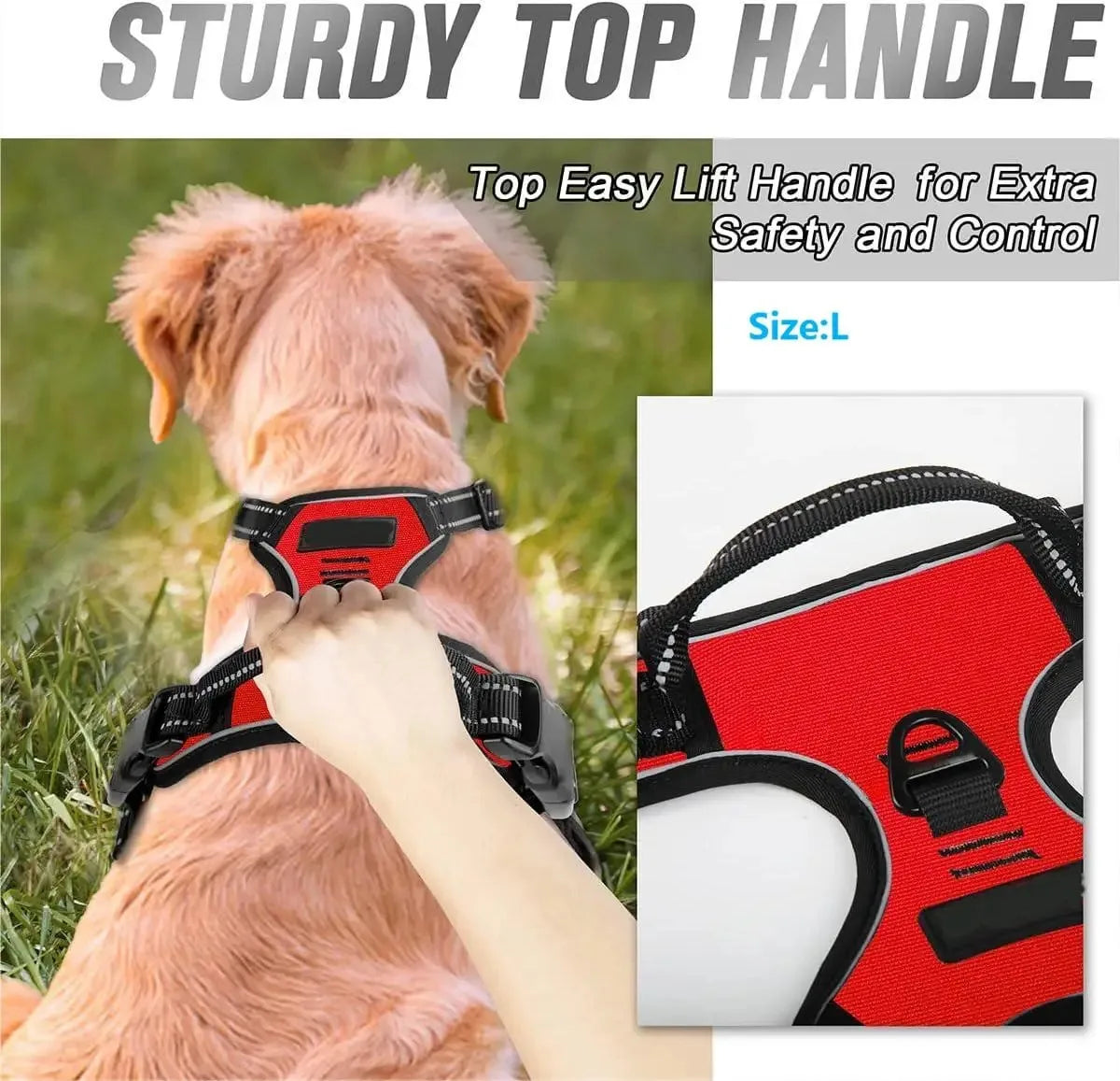 Comfortable Dog Walking Set