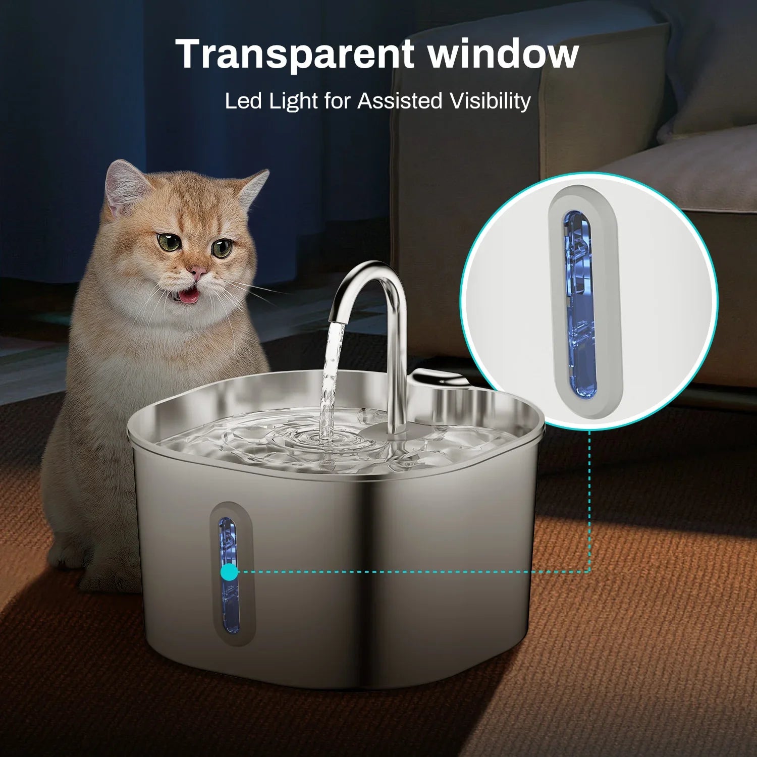 Pet Hydration Station