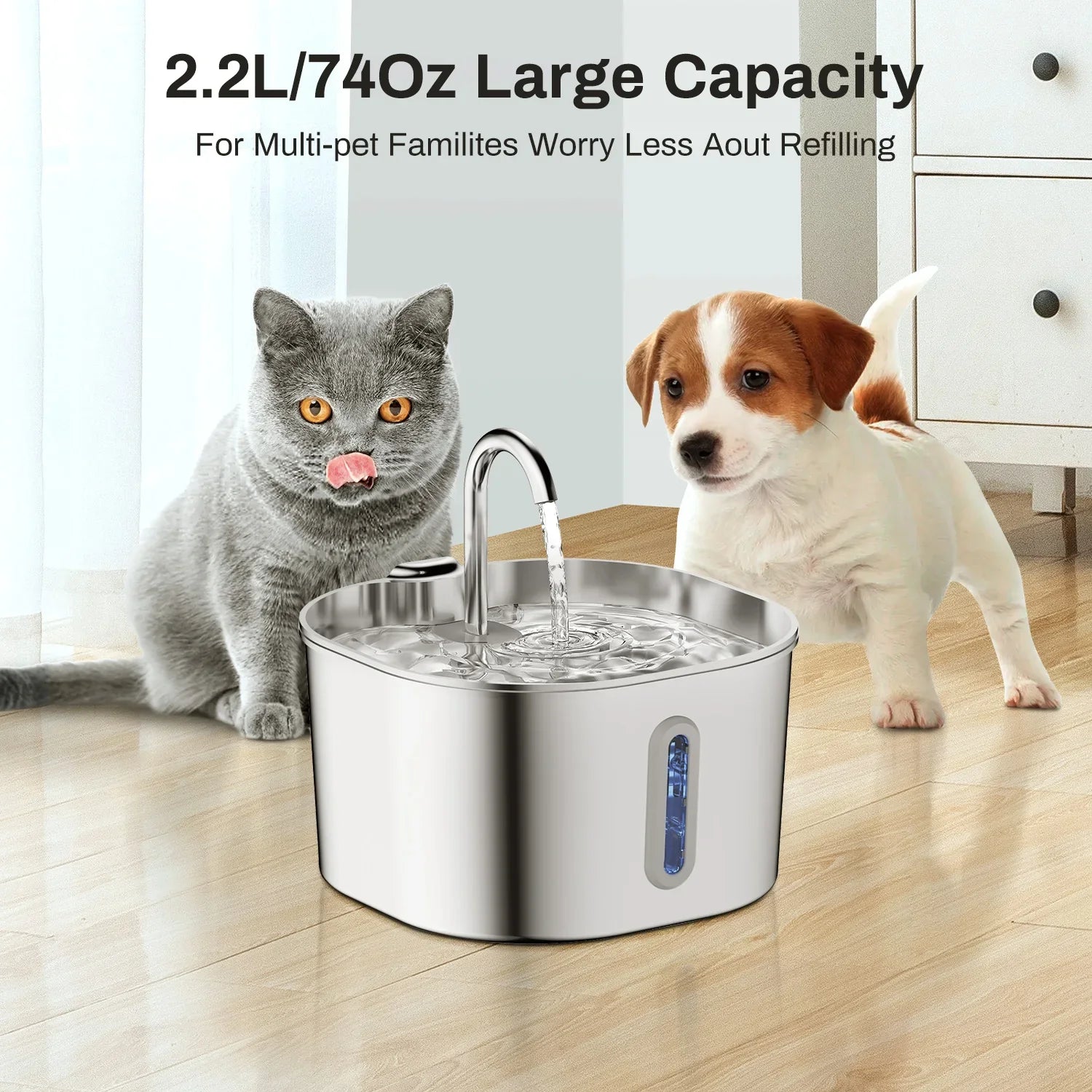 Pet Hydration Station